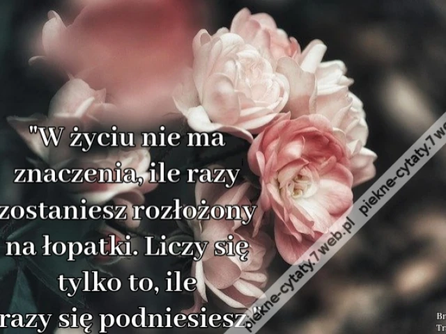 W życiu nie ma znaczenia, ile razy zostaniesz rozłożony na łopatki. Liczy się tylko to, ile razy się podniesiesz.