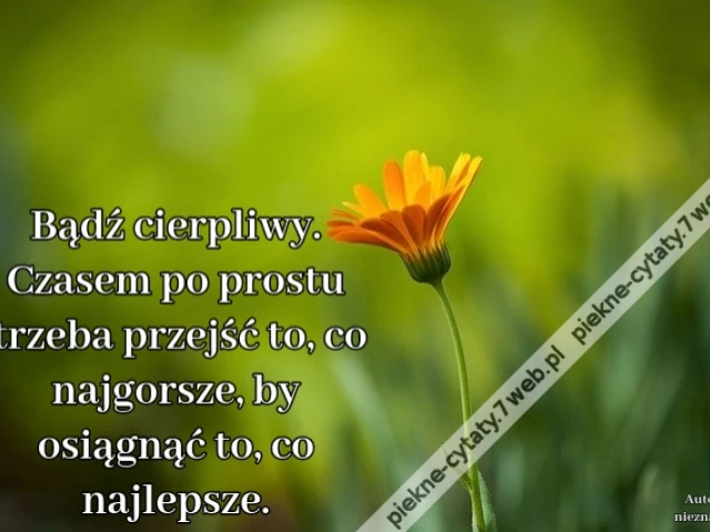 Bądź cierpliwy. Czasem po prostu trzeba przejść to, co najgorsze, by osiągnąć to, co najlepsze.
