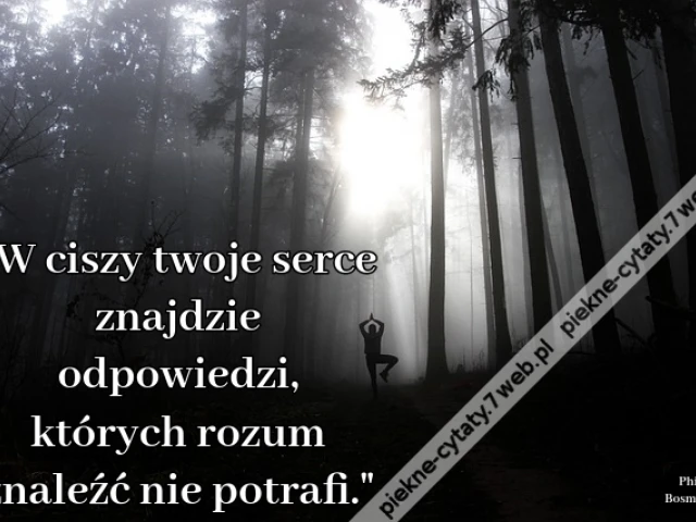W ciszy twoje serce znajdzie odpowiedzi, których rozum znaleźć nie potrafi.