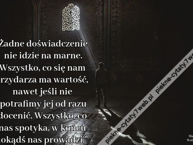 Żadne doświadczenie nie idzie na marne. Wszystko, co się nam przydarza ma wartość, nawet jeśli nie potrafimy jej od razu docenić. Wszystko, co nas spotyka, w końcu dokądś nas prowadzi.