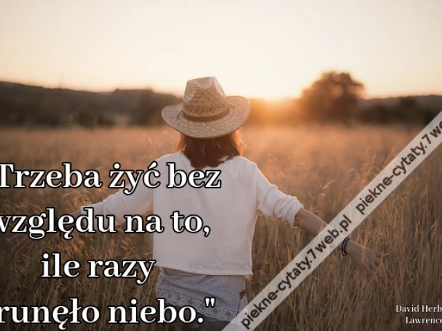 Trzeba żyć bez względu na to, ile razy runęło niebo.