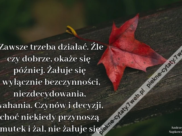Zawsze trzeba działać. Źle czy dobrze, okaże się później. Żałuje się wyłącznie bezczynności, niezdecydowania, wahania. Czynów i decyzji, choć niekiedy przynoszą smutek i żal, nie żałuje się.