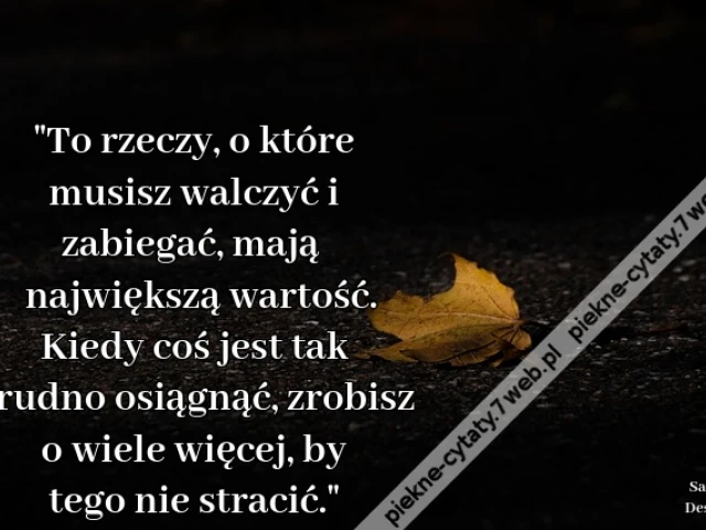 "To rzeczy, o które musisz walczyć i zabiegać, mają największą wartość. Kiedy coś jest tak trudno osiągnąć, zrobisz o wiele więcej, by tego nie stracić."