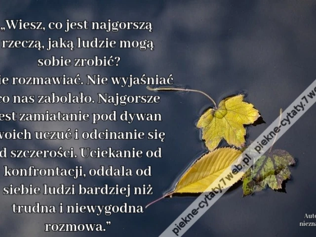 „Wiesz, co jest najgorszą rzeczą, jaką ludzie mogą sobie zrobić? Nie rozmawiać. Nie wyjaśniać co nas zabolało. Najgorsze jest zamiatanie pod dywan swoich uczuć i odcinanie się od szczerości. Uciekanie od konfrontacji, oddala od siebie ludzi bardziej niż t