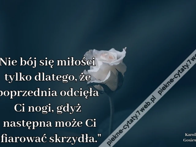 "Nie bój się miłości tylko dlatego, że poprzednia odcięła Ci nogi, gdyż następna może Ci ofiarować skrzydła."
