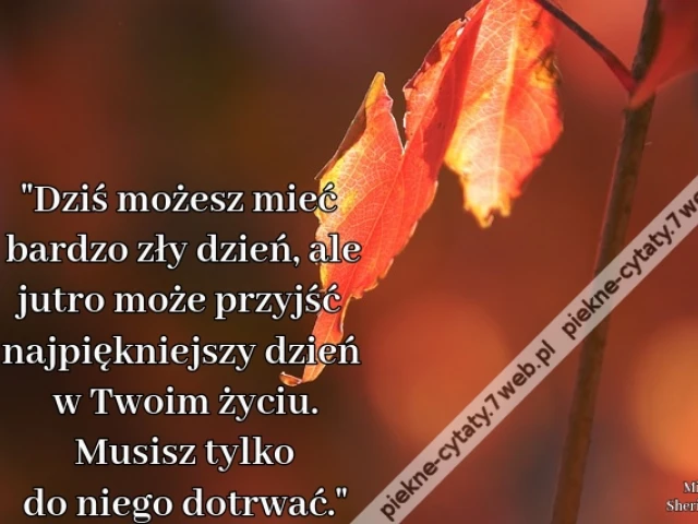 "Dziś możesz mieć bardzo zły dzień, ale jutro może przyjść najpiękniejszy dzień w Twoim życiu. Musisz tylko do niego dotrwać."