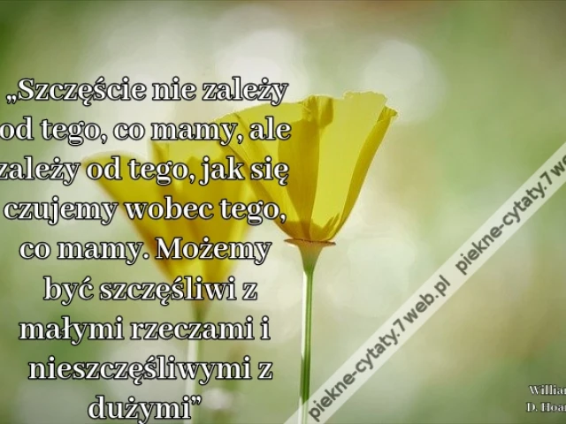 „Szczęście nie zależy od tego, co mamy, ale zależy od tego, jak się czujemy wobec tego, co mamy. Możemy być szczęśliwi z małymi rzeczami i nieszczęśliwym z dużymi”