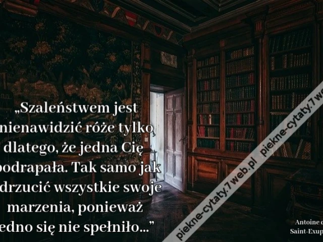 „Szaleństwem jest nienawidzić róże tylko dlatego, że jedna Cię podrapała. Tak samo jak odrzucić wszystkie swoje marzenia, ponieważ jedno się nie spełniło…”