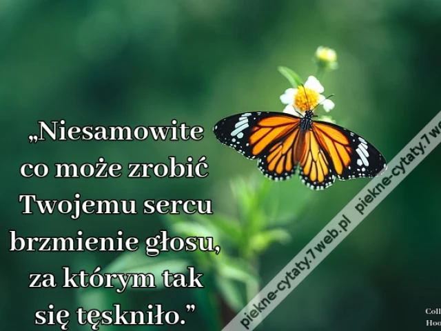 „Niesamowite co może zrobić Twojemu sercu brzmienie głosu, za którym tak się tęskniło.”