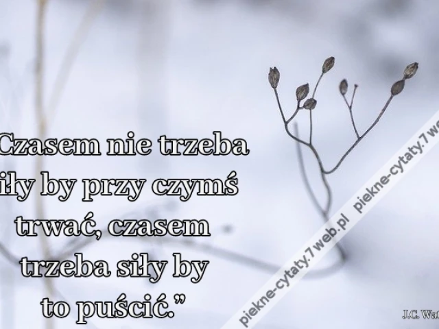 „Czasem nie trzeba siły by przy czymś trwać, czasem trzeba siły by to puścić.”