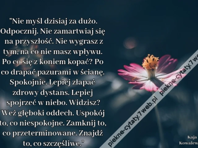 Nie myśl dzisiaj za dużo. Odpocznij. Nie zamartwiaj się na przyszłość. Nie wygrasz z tym, na co nie masz wpływu. Po co się z koniem kopać? Po co drapać pazurami w ścianę. Spokojnie. Lepiej złapać zdrowy dystans. Lepiej spojrzeć w niebo. Widzisz? Weź głębo