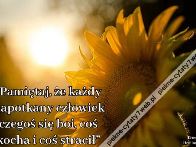 „Pamiętaj, że każdy napotkany człowiek czegoś się boi, coś kocha i coś stracił”