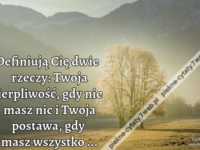 Definiują Cię dwie rzeczy: Twoja cierpliwość, gdy nie masz nic i Twoja postawa gdy masz wszystko ...