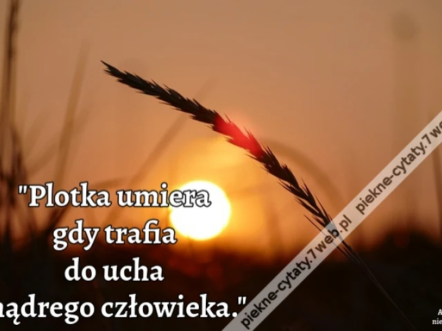 Plotka umiera gdy trafia do ucha mądrego człowieka.