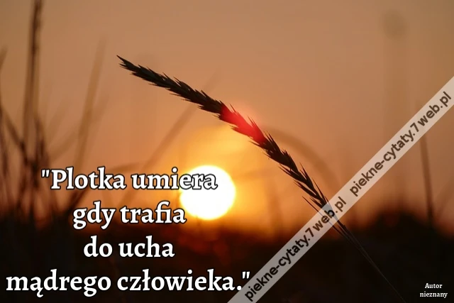 Plotka umiera gdy trafia do ucha mądrego człowieka.