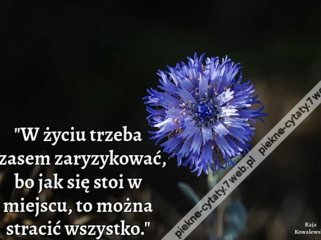 "W życiu trzeba czasem zaryzykować, bo jak się stoi w miejscu, to można stracić wszystko."