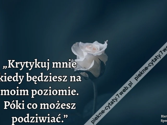 „Krytykuj mnie kiedy będziesz na moim poziomie. Póki co możesz podziwiać.”