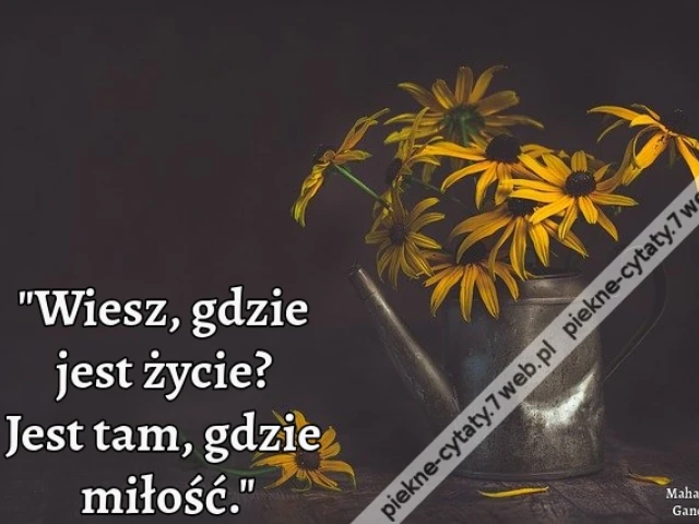"Wiesz, gdzie jest życie? Jest tam, gdzie miłość."