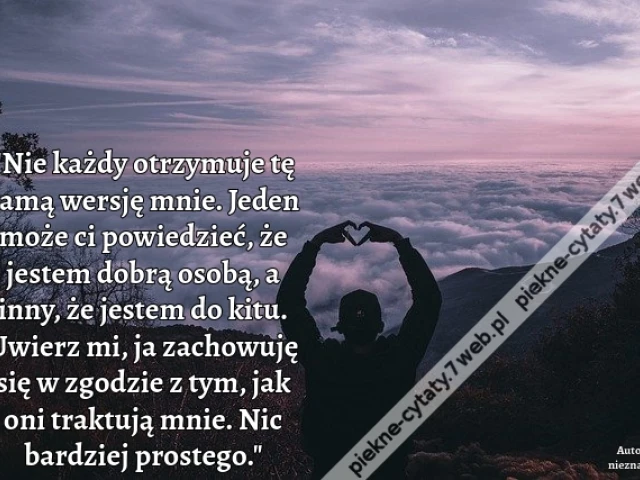 Nie każdy otrzymuje tę samą wersję mnie. Jeden może ci powiedzieć, że jestem dobrą osobą, a inny, że jestem do kitu. Uwierz mi, ja zachowuję się w zgodzie z tym, jak oni traktują mnie. Nic bardziej prostego.