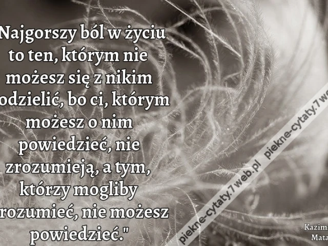 Najgorszy ból w życiu to ten, którym nie możesz się z nikim podzielić, bo ci, którym możesz o nim powiedzieć, nie zrozumieją, a tym, którzy mogliby zrozumieć, nie możesz powiedzieć.
