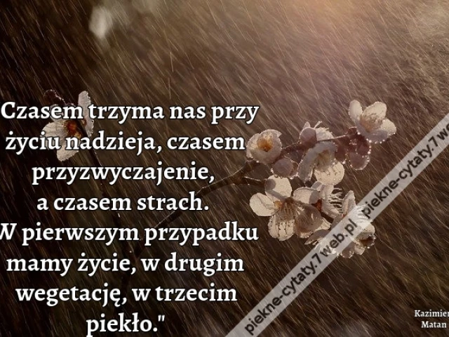 Czasem trzyma nas przy życiu nadzieja, czasem przyzwyczajenie, a czasem strach. W pierwszym przypadku mamy życie, w drugim wegetację, w trzecim piekło.