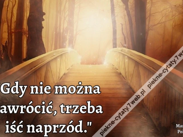 Gdy nie można zawrócić, trzeba iść naprzód.