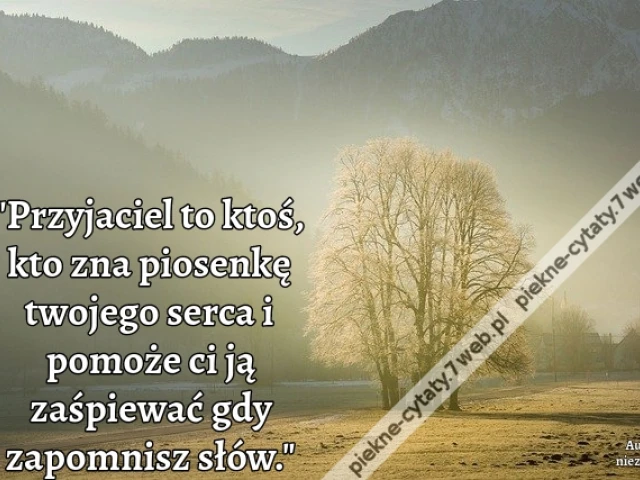 Przyjaciel to ktoś, kto zna piosenkę twojego serca i pomoże ci ją zaśpiewać gdy zapomnisz słów.