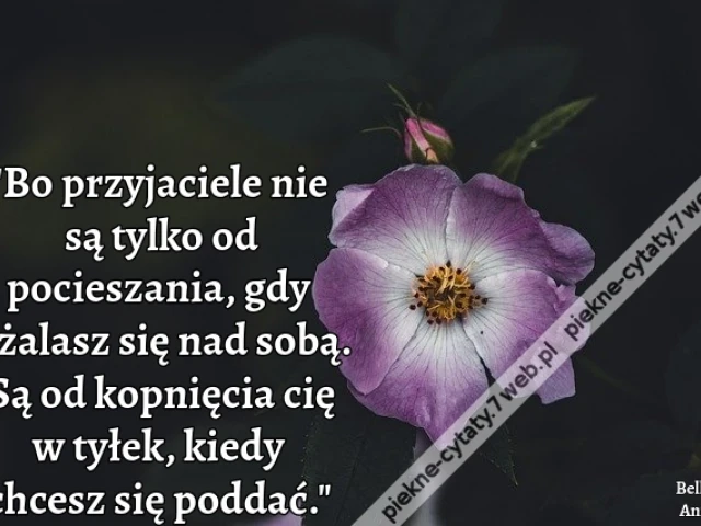 Bo przyjaciele nie są tylko od pocieszania, gdy użalasz się nad sobą. Są od kopnięcia cię w tyłek, kiedy chcesz się poddać.