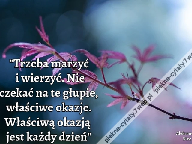 Trzeba marzyć i wierzyć. Nie czekać na te głupie, właściwe okazje. Właściwą okazją jest każdy dzień