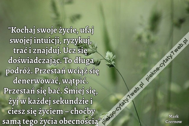 "Kochaj swoje życie, ufaj swojej intuicji, ryzykuj, trać i znajduj. Ucz się doświadczając. To długa podróż. Przestań wciąż się denerwować, wątpić. Przestań się bać. Śmiej się, żyj w każdej sekundzie i ciesz się życiem – choćby samą tego życia obecnością"