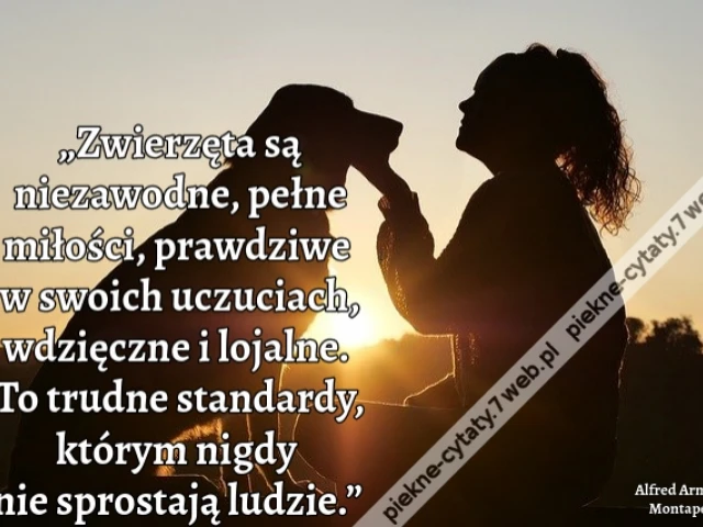 „Zwierzęta są niezawodne, pełne miłości, prawdziwe w swoich uczuciach, wdzięczne i lojalne. To trudne standardy, którym nigdy nie sprostają ludzie.”