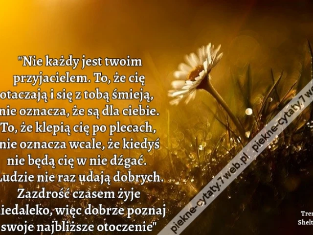 "Nie każdy jest twoim przyjacielem. To, że cię otaczają i się z tobą śmieją, nie oznacza, że są dla ciebie. To, że klepią cię po plecach, nie oznacza wcale, że kiedyś nie będą cię w nie dźgać. Ludzie nie raz udają dobrych. Zazdrość czasem żyje niedaleko,