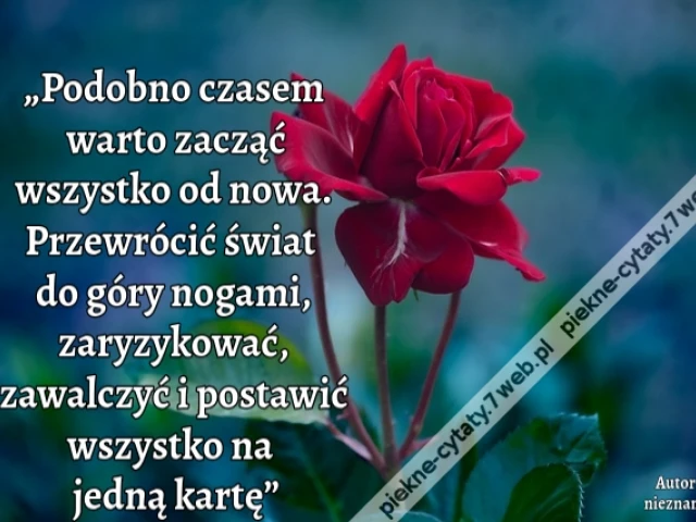 „Podobno czasem warto zacząć wszystko od nowa. Przewrócić świat do góry nogami, zaryzykować, zawalczyć i postawić wszystko na jedną kartę”