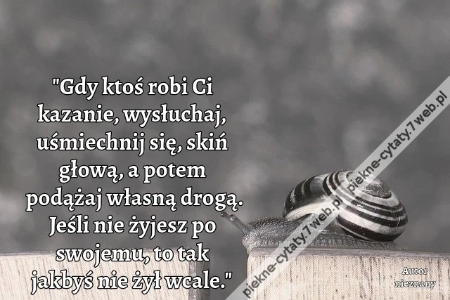 &quot;Gdy ktoś robi Ci kazanie, wysłuchaj, uśmiechnij się, skiń głową, a potem podążaj własną drogą. Jeśli nie żyjesz po swojemu, to tak jakbyś nie żył wcale.&quot;