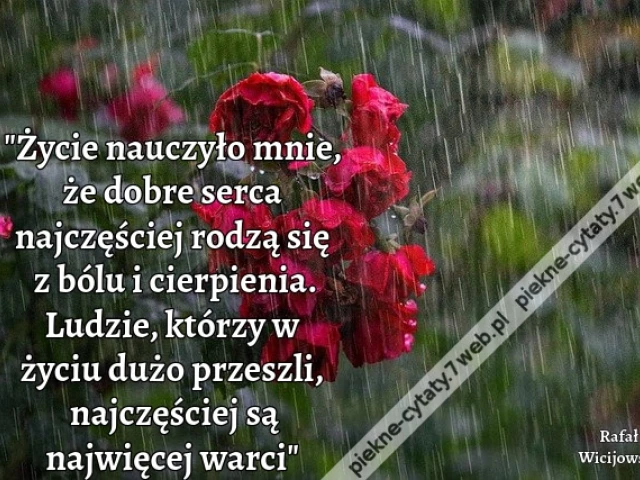 "Życie nauczyło mnie, że dobre serca najczęściej rodzą się z bólu i cierpienia. Ludzie, którzy w życiu dużo przeszli, najczęściej są najwięcej warci"