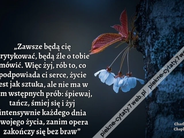 „Zawsze będą cię krytykować, będą źle o tobie mówić. Więc żyj, rób to, co podpowiada ci serce, życie jest jak sztuka, ale nie ma w nim wstępnych prób: śpiewaj, tańcz, śmiej się i żyj intensywnie każdego dnia swojego życia, zanim opera zakończy się bez bra