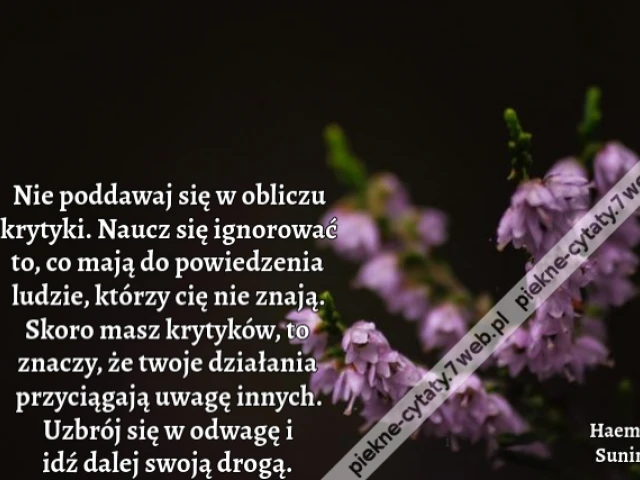 Nie poddawaj się w obliczu krytyki. Naucz się ignorować to, co mają do powiedzenia ludzie, którzy cię nie znają. Skoro masz krytyków, to znaczy, że twoje działania przyciągają uwagę innych. Uzbrój się w odwagę i idź dalej swoją drogą.i