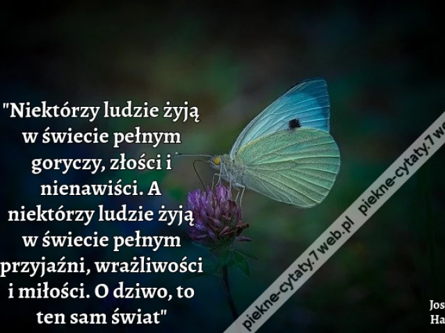 Niektórzy ludzie żyją w świecie pełnym goryczy, złości i nienawiści. A niektórzy ludzie żyją w świecie pełnym przyjaźni, wrażliwości i miłości. O dziwo, to ten sam świat