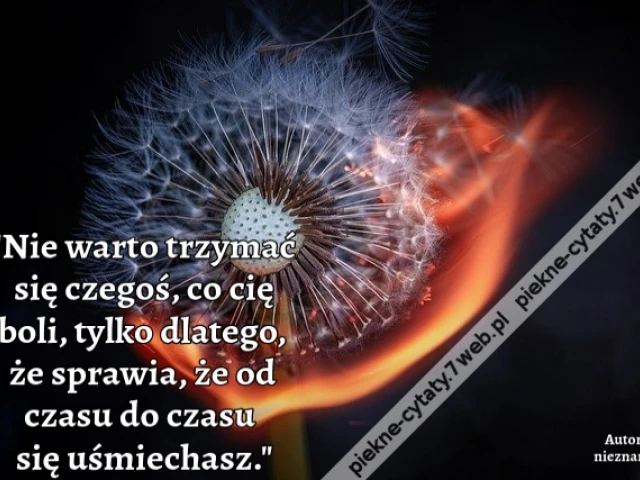 Nie warto trzymać się czegoś, co cię boli, tylko dlatego, że sprawia, że od czasu do czasu się uśmiechasz.