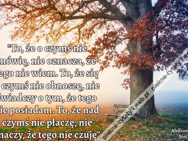 "To, że o czymś nie mówię, nie oznacza, że tego nie wiem. To, że się z czymś nie obnoszę, nie świadczy o tym, że tego nie posiadam. To, że nad czymś nie płaczę, nie znaczy, że tego nie czuję"