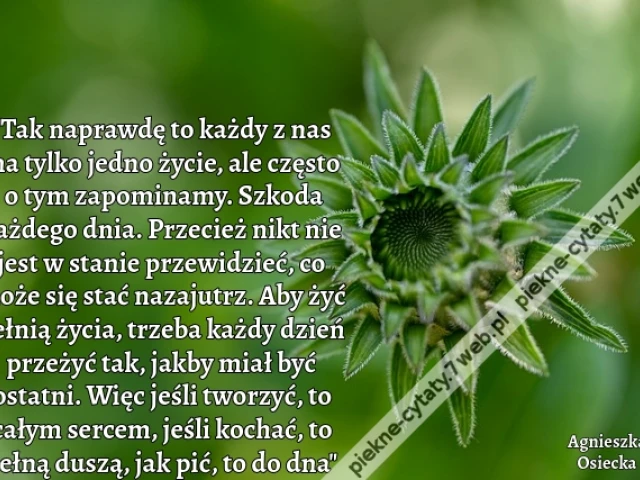 "Tak naprawdę to każdy z nas ma tylko jedno życie, ale często o tym zapominamy. Szkoda każdego dnia. Przecież nikt nie jest w stanie przewidzieć, co może się stać nazajutrz. Aby żyć pełnią życia, trzeba każdy dzień przeżyć tak, jakby miał być ostatni. Wię