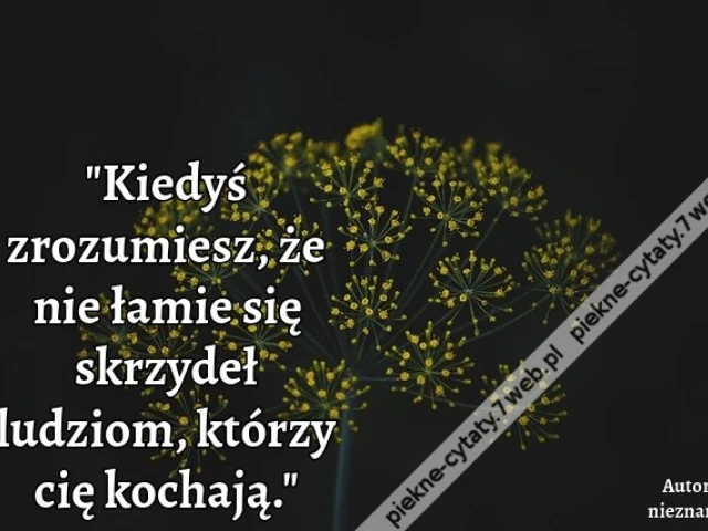Kiedyś zrozumiesz, że nie łamie się skrzydeł ludziom, którzy cię kochają.