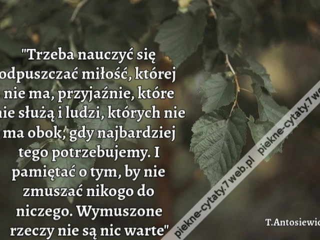 "Trzeba nauczyć się odpuszczać miłość, której nie ma, przyjaźnie, które nie służą i ludzi, których nie ma obok, gdy najbardziej tego potrzebujemy. I pamiętać o tym, by nie zmuszać nikogo do niczego. Wymuszone rzeczy nie są nic warte"