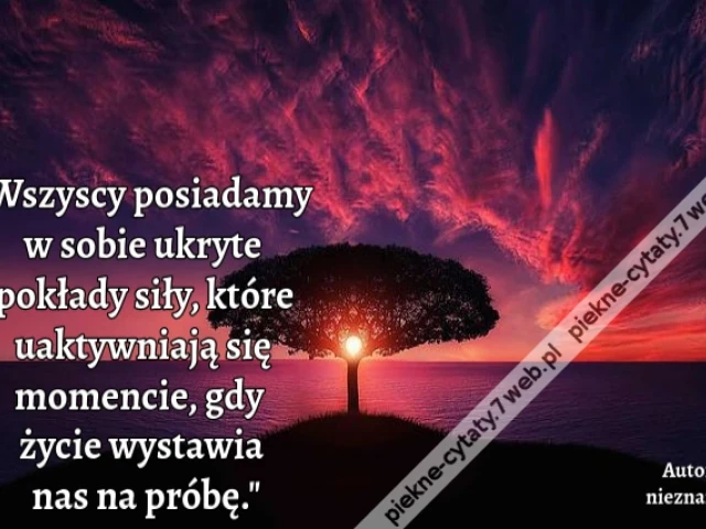 Wszyscy posiadamy w sobie ukryte pokłady siły, które uaktywniają się momencie, gdy życie wystawia nas na próbę.