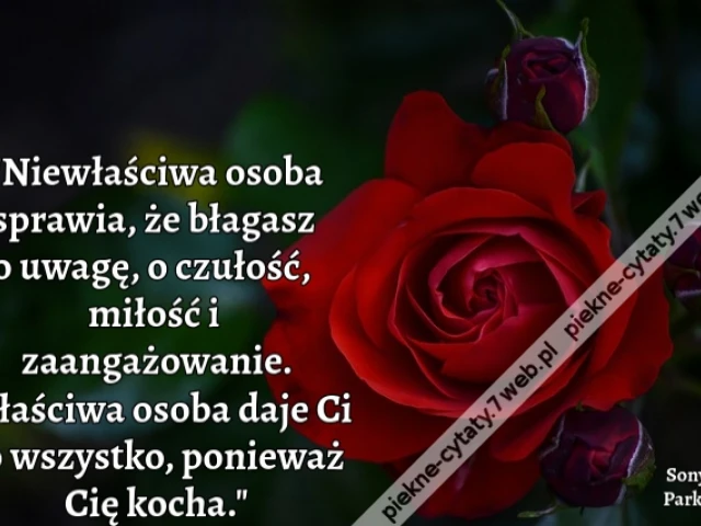 Niewłaściwa osoba sprawia, że błagasz o uwagę, o czułość, miłość i zaangażowanie. Właściwa osoba daje Ci to wszystko, ponieważ Cię kocha.