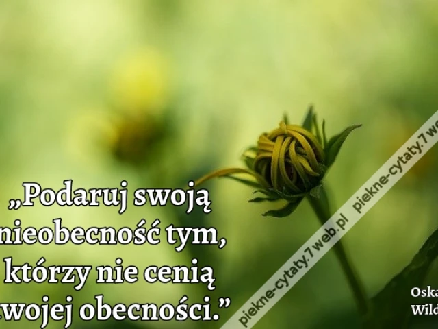 „Podaruj swoją nieobecność tym, którzy nie cenią twojej obecności.”