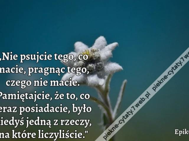 „Nie psujcie tego, co macie, pragnąc tego, czego nie macie. Pamiętajcie, że to, co teraz posiadacie, było kiedyś jedną z rzeczy, na które liczyliście."