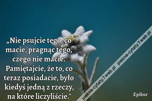 „Nie psujcie tego, co macie, pragnąc tego, czego nie macie. Pamiętajcie, że to, co teraz posiadacie, było kiedyś jedną z rzeczy, na które liczyliście."