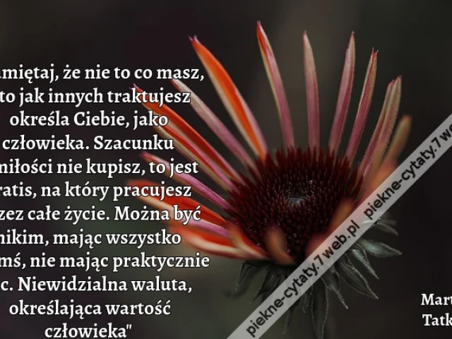 „Pamiętaj, że nie to co masz, a to jak innych traktujesz określa Ciebie, jako człowieka. Szacunku i miłości nie kupisz, to jest gratis, na który pracujesz przez całe życie. Można być nikim, mając wszystko i kimś, nie mając praktycznie nic. Niewidzialna wi