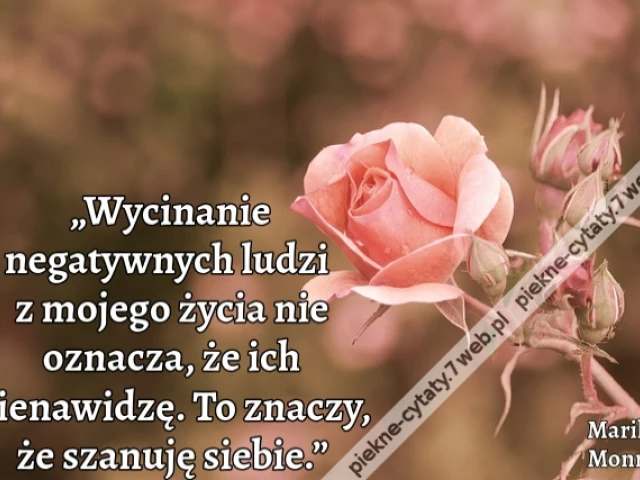 „Wycinanie negatywnych ludzi z mojego życia nie oznacza, że ich nienawidzę. To znaczy, że szanuję siebie.”